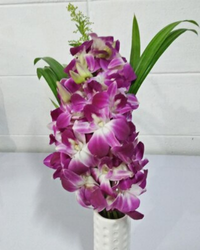 custom 25 1