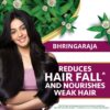Himalaya Bringha Cond Ecom 03