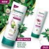 Himalaya Bringha Cond Ecom 07