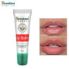 himalaya 3