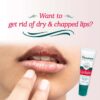 himalaya lip balm 5 gm 6.1 1671741853