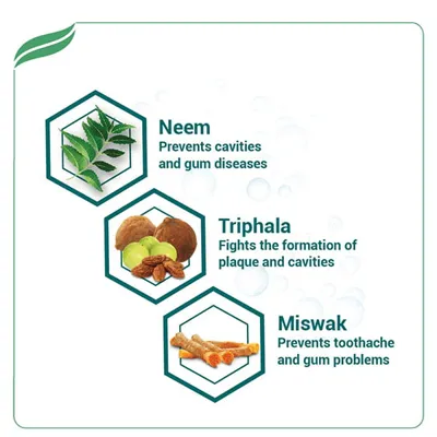 himalaya complete care toothpaste 150 gm 2 2