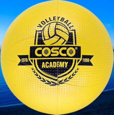 Prime Academy Volleyball (Code:15030)