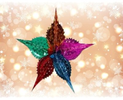 Polyester Decorative Hanging (Big Parrot Star 317)