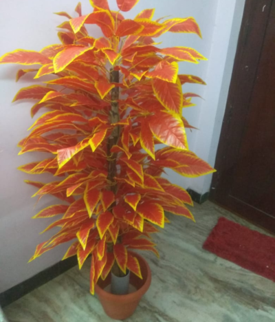 Artificial Plant