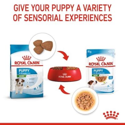 Royal Canin Mini Puppy Food, 85 Grams, Pack of 10 Sachet, Wet Food, Supports Immune System, Brain development & digestive health