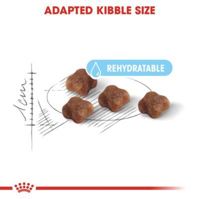Royal Canin Mother & Babycat Food, 400 Grams, Dry Food, Provides Complete Support for Mother & Babycat Health, Supports Brain Development & Promotes a Strong Immune System