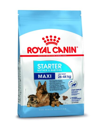Royal Canin Maxi Starter, Mother & Babydog Food, 1 Kg, Dry Food, Supports Complex Natural Defence & digestive health, Provides Gestation/Lactation Support, Supports Easy rehydration