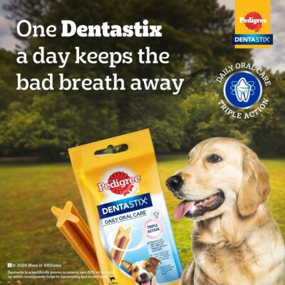 Pedigree Dentastix Oral Care Dog Treat, Adult Small Breed (5-10 kg), 440 g, Recommended by Vets, Supports Gum Health, Reduces Risk of Gum Diseases