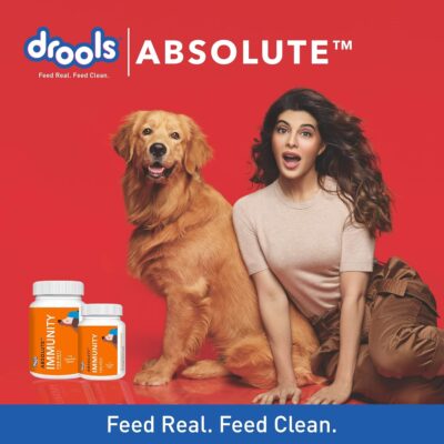 Drools Absolute Immunity Tablet Dog Supplement, 110 Pieces