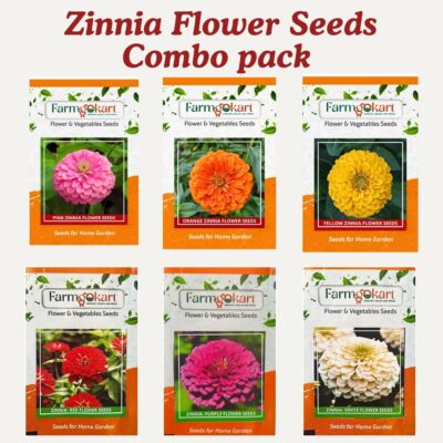 Zinnia Flower Seeds - (Combo Pack of 6 Colorful Seed Packets) A Vibrant Mix to Enhance Your Garden