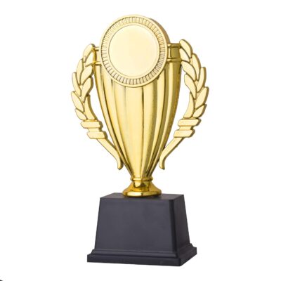 TMW Golden Fiber Trophy – Award Trophy for All Performers | Gift for Home & Office Decoration