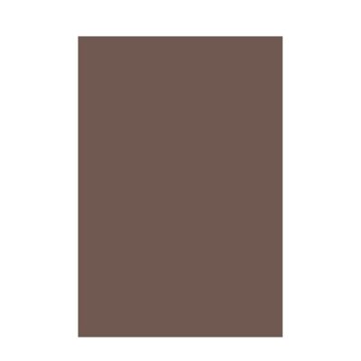 Chart Paper 200 GSM Premium Big Sheets | Chocolate | Pack of 5 | Vibrant Bright & Soft Pastel Color | Ideal for Crafts, Art, DIY & School Projects | A1 Big | Full Size - 56 cm x 71 cm | GRD449