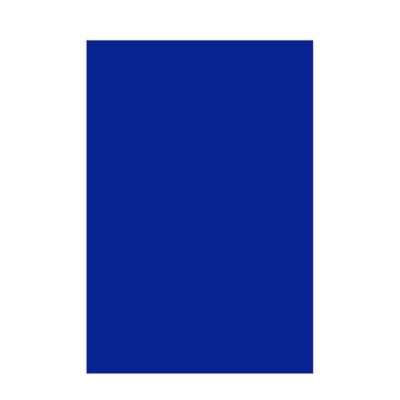 Chart Paper 200 GSM Premium Big Sheets | Diamond Blue | Pack of 5 | Vibrant Bright & Soft Pastel Color | Ideal for Crafts, Art, DIY & School Projects | A1 Big | Full Size - 56 cm x 71 cm | GRD449