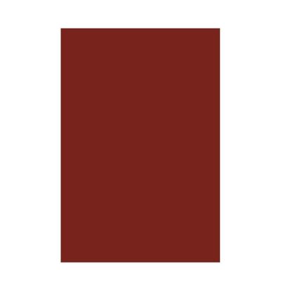 Chart Paper 200 GSM Premium Big Sheets | Rust RED | Pack of 10 | Vibrant Bright & Soft Pastel Color | Ideal for Crafts, Art, DIY & School Projects | A1 Big | Full Size - 56 cm x 71 cm | GRD899