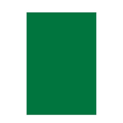Chart Paper 200 GSM Premium Big Sheets | Dark Green | Pack of 5 | Vibrant Bright & Soft Pastel Color | Ideal for Crafts, Art, DIY & School Projects | A1 Big | Full Size - 56 cm x 71 cm | GRD449