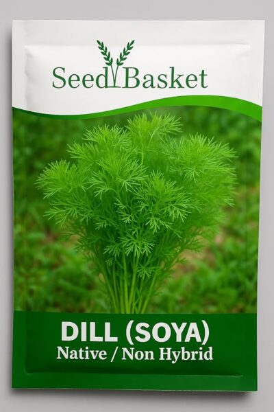 Seed basket Dill (Soya) 500 Seeds for Planting – Aromatic Herb & Leafy Vegetable – High Germination, Fast Growing, Non-GMO – Ideal for Kitchen Garden, Terrace, Pots & Farms
