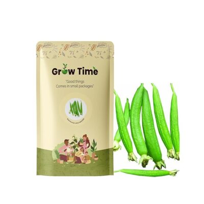 Satputia Vegetable Seeds, Vegetable Seeds for Home Gardening, Vegetable Planting Seeds for Kitchen, Satputia Seeds (Green, Pack of 20g)