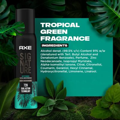 AXE Signature Mysterious Long Lasting No Gas Body Perfume Spray For Men 200 Ml